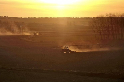 Varios trabajadores realizan labores agrícolas al atardecer en la localidad salmantina de Villamayor.-ENRIQUE CARRASCAL