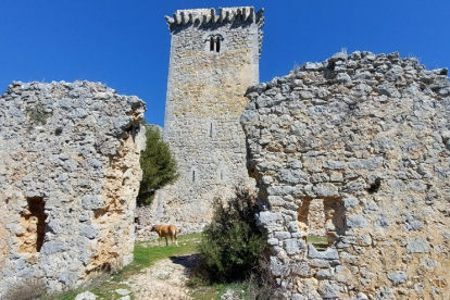 Castillo de Ucero.