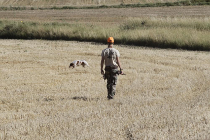 Uno de los cientos de cazadores sorianos que ayer salieron a los campos en la apertura de la media veda.-Luis Ángel Tejedor