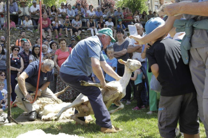 El programa cumplía este año su novena edición y está promovido por la Mancomunidad de Tierras Altas.-L.A.T.