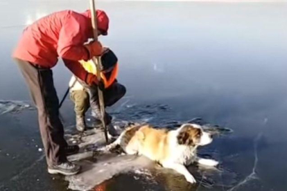 Rescate de un perro atrapado en un lago siberiano.-EL PERIÓDICO