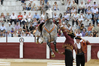 La belleza de los caballos perfectamente conjuntados y sus jinetes causó sensación entre el público adnamantino . / VALENTÍN GUISANDE-