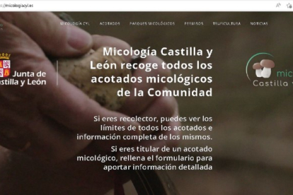 Portal de 'Micología Castilla y León'. HDS