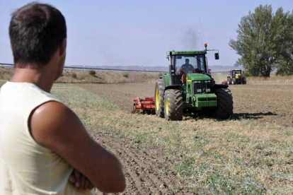 Casi tres de cada 10 autónomos en Soria trabaja en Agricultura, Ganadería, Silvicultura y Pesca.-VALENTÍN GUISANDE