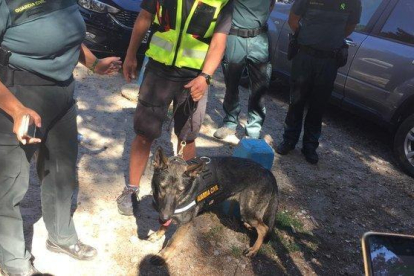La perra Xena de la Guardia Civil que ha encontrado el cuerpo de Blanca Fernández Ochoa.-