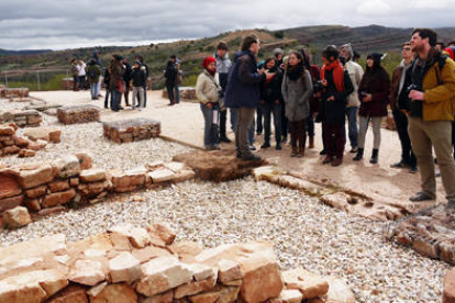 Estudiantes de tres países visitan los restos de Tiermes. /UVA-