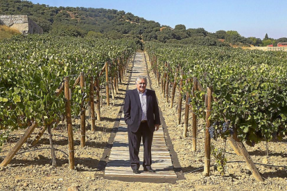 Simón García Taboada posa en los terrenos de viñedos que posee en la provincia de Zamora.-J. L. C.