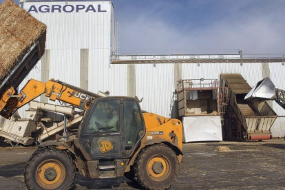 Varios trabajadores en las instalaciones de transformación de paja y alfalfa de la cooperativa Agropal, en la localidad palentina de Villoldo .-ICAL