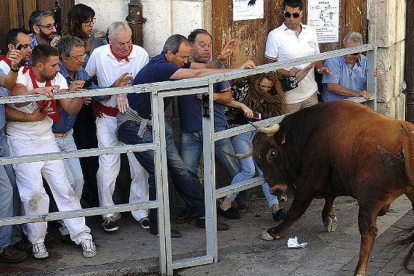 Un hombre de 60 años muere corneado en un encierro en Cuéllar (Segovia)-