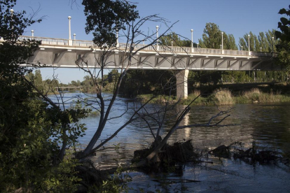 El rio Tormes a su paso por el Puente de la Universidad, lugar donde apareció flotando el cuerpo sin vida de un anciano.-ICAL