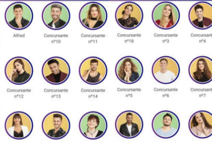 Los 18 concursantes que entrarán en la academia de OT 2017.-EL PERIÓDICO