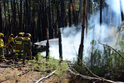 Extiención de un incendio forestal en Ontalvilla de Valcorba.-ÁLVARO MARTÍNEZ