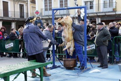 Matanza del cerdo en El Burgo de Osma.-MARÍA FERRER
