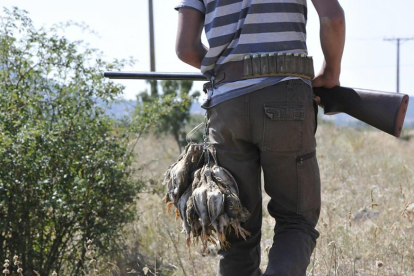 Un cazador con una buena percha de codornices tras una jornada de caza en la provincia de Soria.-VALENTÍN GUISANDE