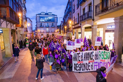 Manifestación 8M - MARIO TEJEDOR (35)