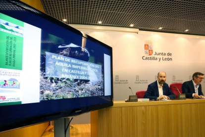 El director general de Medio Natural, José Ángel Arranz, presenta el censo de águila imperial en la Comunidad en 2016-ICAL