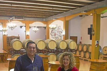 Alfonso Garcés brinda con Yolanda Peña en al sala de barricas. Abajo, cinco delos vinos que elabora Covitoro.-M.D.