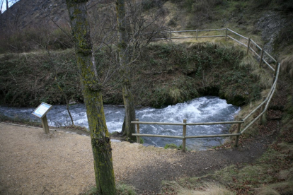 El nacimiento del Queiles en Vozmediano, Soria, donde el agua brota de la tierra con más caudal que en cualquier otro punto de Europa. HDS