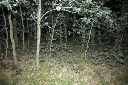 Lugar donde apareció el cadáver del hombre-D.S.