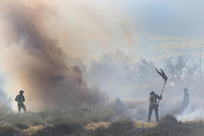 Un incendio provocado el jueves en Palencia por la quema intencionada de pelusas de chopo.-- ICAL