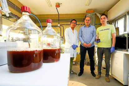 Equipo de investigadores, encabezado por Raúl Muñoz (centro), en el edificio IndUVa, el aulario de la Escuela de Ingenierías Industriales de la UVA.-- MIGUEL ÁNGEL SANTOS / PHOTOGENIC