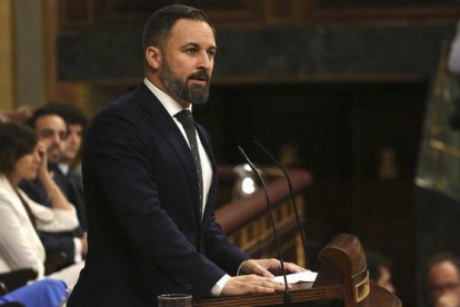 Santiago Abascal, en la última jornada de la investidura.-DAVID CASTRO