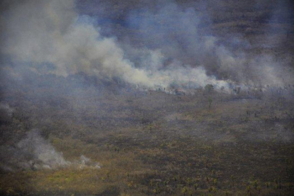 Los incendios forestales arrasan con miles de hectáreas de selva en Brasil.-EFE / SEN