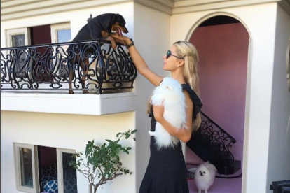Paris Hilton muestra la mansión que ha construido para sus 13 chihuahuas.-INSTAGRAM