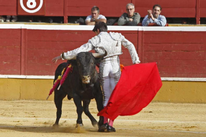 Detalle de la novillada de San Saturio en 2016.-MARIO TEJEDOR