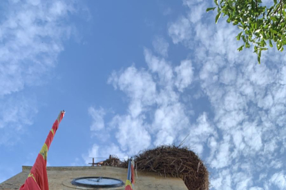 El nido de cigüeña sobre el balcón del Ayuntamiento de Sotillo del Rincón.