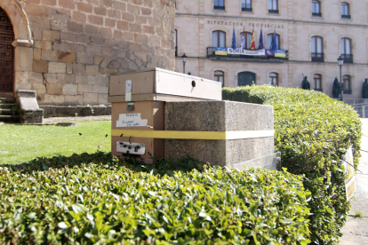 Dispositivo colocado por los bomberos de Soria para capturar a las abejas.