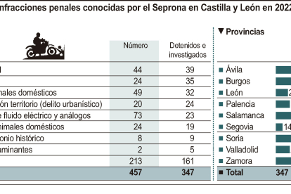 Infracciones penales conocidas por el Seprona en Castilla y León en 2022.