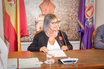 Pleno de constitución de la Diputación de Soria.