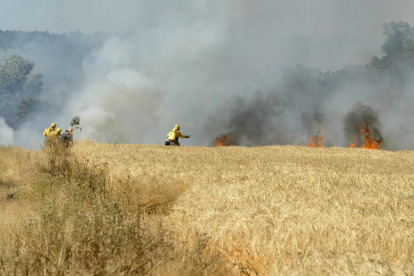 Imagen de archivo de un incendio forestal y agrícola en la provincia.