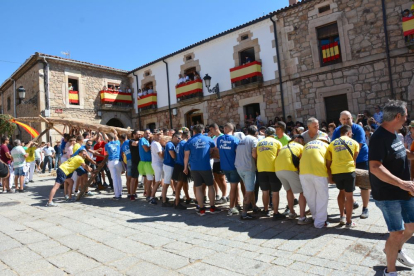 Pingada del Mayo en Vinuesa para iniciar las fiestas de 2023.