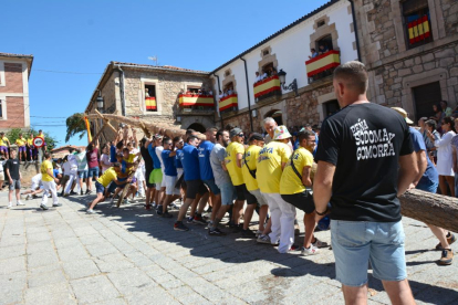 Pingada del Mayo en Vinuesa para iniciar las fiestas de 2023.