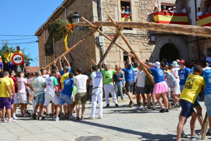 Pingada del Mayo en Vinuesa para iniciar las fiestas de 2023.