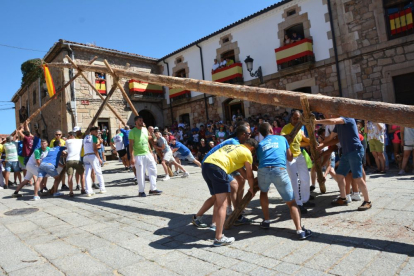 Pingada del Mayo en Vinuesa para iniciar las fiestas de 2023.
