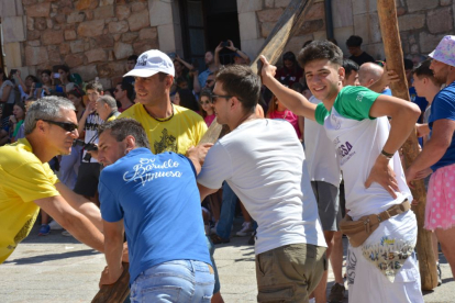 Pingada del Mayo en Vinuesa para iniciar las fiestas de 2023.