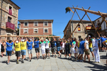 Pingada del Mayo en Vinuesa para iniciar las fiestas de 2023.