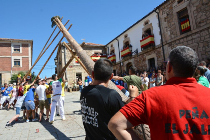 Pingada del Mayo en Vinuesa para iniciar las fiestas de 2023.