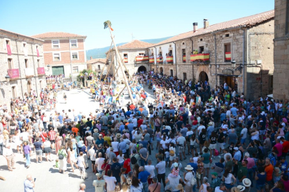 Pingada del Mayo en Vinuesa para iniciar las fiestas de 2023.