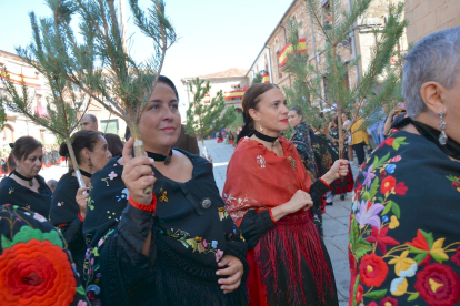 El ritual de la pinochada en Vinuesa