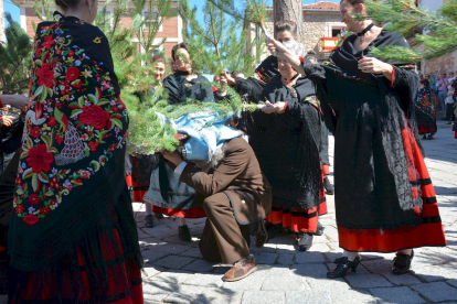 El ritual de la pinochada en Vinuesa