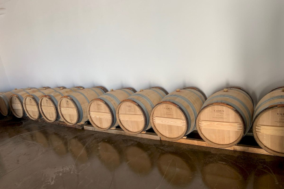 Nueva bodega ubicada en el corazón de la Ribera del Duero soriana