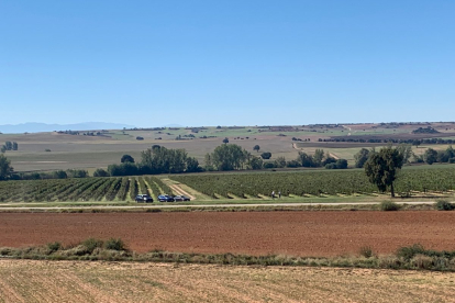 Nueva bodega ubicada en el corazón de la Ribera del Duero soriana