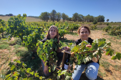 Emma Villajo y María José García Moreno, enóloga y responsable de viticultura respectivamente de Viñedos y Bodegas Gormaz.