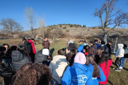 Alumnos de la zona de El Burgo y La Ribera del Duero durante una salida escolar.