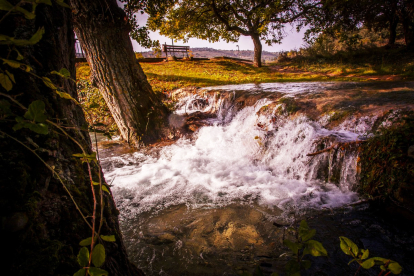 En la Toba nace el río Golmayo