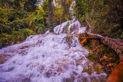 En la Toba nace el río Golmayo